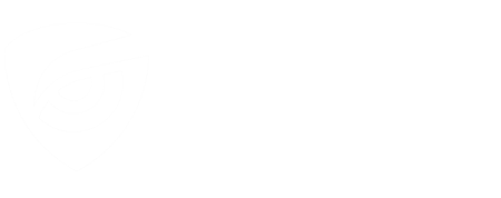 hbs systems white-logo450-6